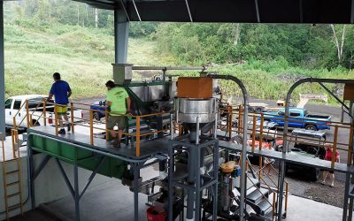 Kona Rainforest Coffee Production Process