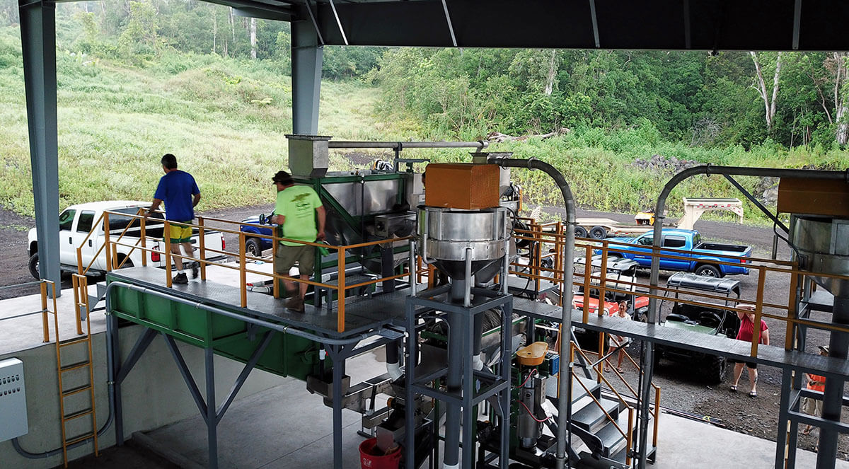 Kona Rainforest Coffee Production Process